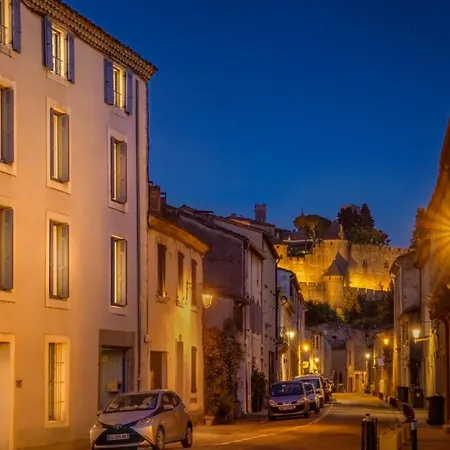 C'est Maison Bleue Апартаменты Каркассон